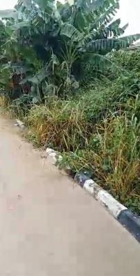 100 Feet By 100 Feet Plot of Land in a Beautiful Location, Governors House Road, Osubi, Warri, Delta, Land for Sale