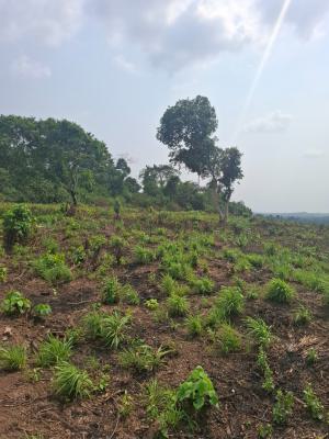 Dry Land, Isiwo, Ijebu Ode, Ogun, Residential Land for Sale
