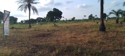 Dry Land in a Fast Developing Area Just 4 Mins From The Express, Onicha-ugbo, Asaba, Delta, Residential Land for Sale