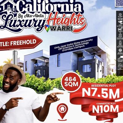 100% Dry Land with Instant Allocation, California Height  Near Delta State University of Science & Technology, Warri, Delta, Mixed-use Land for Sale
