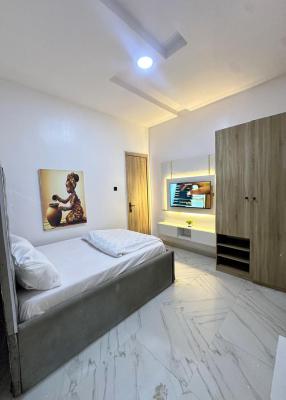 Fully Furnished Studio Apartment, Dpkay Estate Orchid Road, Lekki, Lagos, Self Contain (single Rooms) for Rent