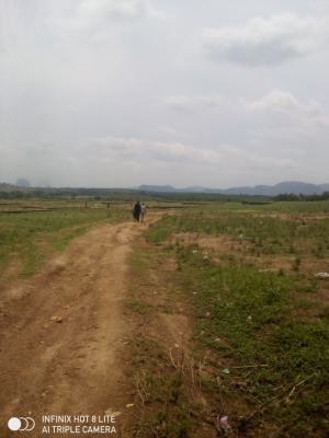 1 Hectare of Residential Land, Renewed Hope Estate, Karsana, Abuja, Residential Land for Sale
