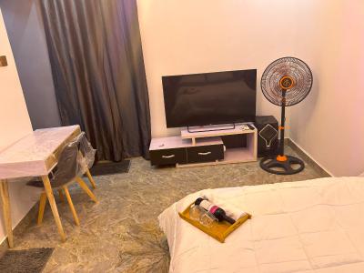 Prime Apartment, Majaro Street, Onike, Yaba, Lagos, Self Contain (single Rooms) Short Let