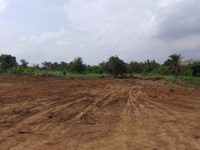 Emirate Parks $ Gardens Residential & Commercial Land, Ewu-ode Before The Interchange, Mowe-ofada, Mowe Ofada, Ogun, Mixed-use Land for Sale