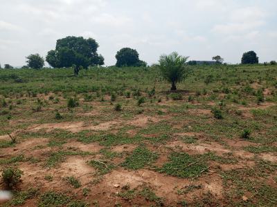 4 Bedroom Luxury Duplex+ Detached Bq, Promise Land Estate a &k Construction Company Ait Station Fct Abuja, Asokoro District, Abuja, Residential Land for Sale