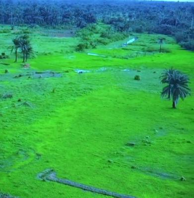 Luxury Affordable Land, Close to 2nd Niger Bridge Oshimili North, Asaba, Delta, Land for Sale