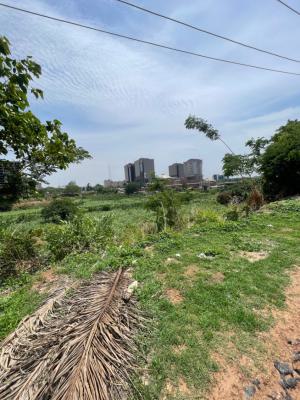 The Most Strategic Commercial Land, Tafawa, Balewa, Road., Central Business District, Abuja, Commercial Land for Sale