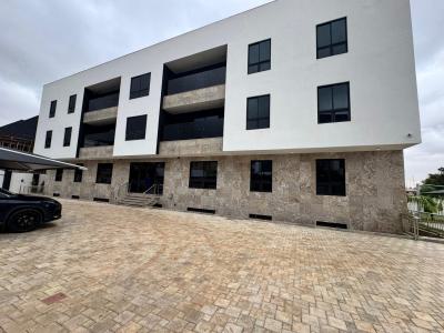 Newly Finished 3 Bedroom Serviced Terraced Duplex with Bq, Asokoro District, Abuja, Terraced Duplex for Rent