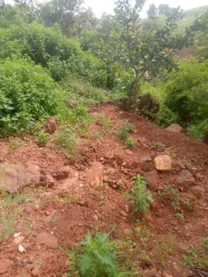 Land for 3 Bedroom Semi-detached Duplex, Asokoro Extension, Sunrise Water Park, Asokoro District, Abuja, Residential Land for Sale