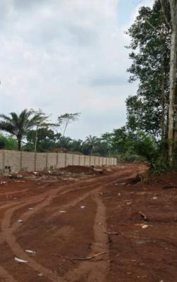Govt Approved Estate Strategically Located, Fortune Garden Estate, Phase 3, Ngor Okpala, Imo, Mixed-use Land for Sale