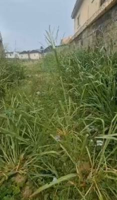 a Standard, Exquisite Land, Victoria Island (vi), Lagos, Mixed-use Land Joint Venture