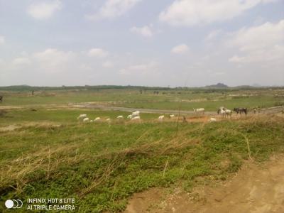 5 Bedroom Condominium, By Sefacc Hotel and Suites, Dei-dei, Abuja, Residential Land for Sale