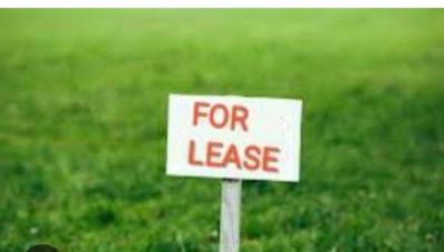 2500 Sqm Land for Lease in Ikate, Ikate, Ikate Elegushi, Lekki, Lagos, Commercial Land for Rent