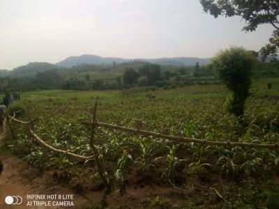 per Hectare, After New Motor Spare Parts Market Yimi Zuba Abuja, Zuba, Abuja, Commercial Land for Sale