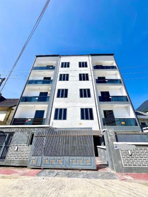 Spacious & Luxury 2 Bedroom Apartment with Inverter Installed, Ikate, Lekki, Lagos, Flat / Apartment for Sale