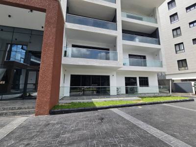 Fully Furnished 2 Bedroom (fully Serviced Apartment) with 2 Rooms Bq, Thompson Avenue, Old Ikoyi, Ikoyi, Lagos, Flat / Apartment for Rent