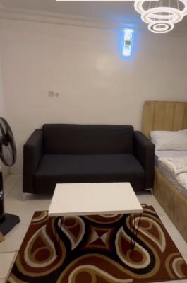 Co-own & Earn 33%, Yaba, Lagos, Self Contain (single Rooms) for Sale