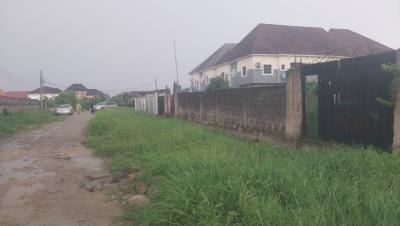 Buy and Build Immediately Plot of Land, 181 Road, Festac, Amuwo Odofin, Lagos, Residential Land for Sale
