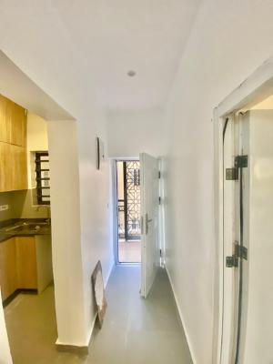Luxury Mini Flat, Atlantic View Estate, Chevron New Road, Lekki Phase 2, Lekki, Lagos, Mini Flat (room and Parlour) for Rent