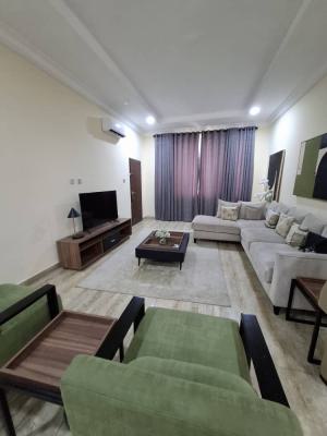 Fully Serviced and Furnished Two Bedroom Apartment, Guzape District, Abuja, Mini Flat (room and Parlour) for Rent