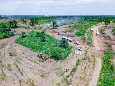 Affordable and Verified Dry Land, Key Haven Located 30min Drive to Caleb University Axis, Imota, Ikorodu, Lagos, Mixed-use Land for Sale