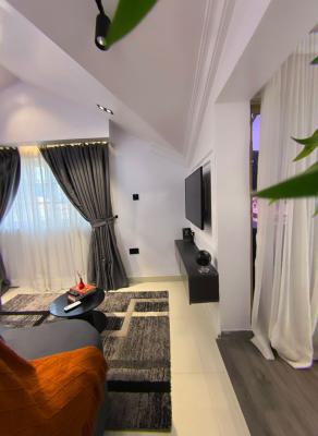 Spacious Luxurious Studio Apartments, Admiralty Way, Lekki Phase 1, Lekki, Lagos, Flat / Apartment Short Let