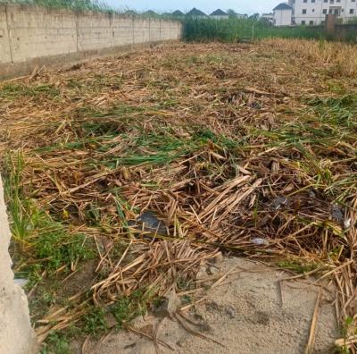 600 Sqm, Treasure, Sangotedo, Ajah, Lagos, Residential Land for Sale