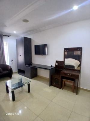 a Luxury Standard Fully Furnished Mini Flat, Ologolo, Lekki, Lagos, Mini Flat (room and Parlour) for Rent