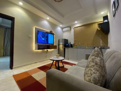 Fully Furnished One Bedroom Apartment, Lekki Phase 1, Lekki, Lagos, Mini Flat (room and Parlour) for Rent