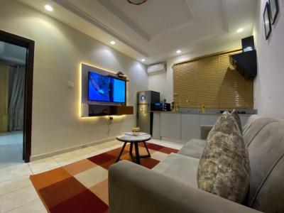 1 Bedroom Furnished Apartment, Lekki Phase 1, Lekki, Lagos, Mini Flat (room and Parlour) for Rent