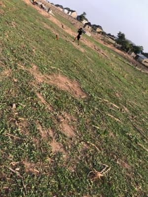Distress 350sqm Estate Plot for Serious Buyer, Pyakasa Airport Road, Pyakasa, Lugbe District, Abuja, Residential Land for Sale