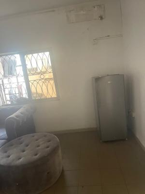 Very Standard and Massive Mini Flat, Admiralty Road, Lekki Phase 1, Lekki, Lagos, Mini Flat (room and Parlour) for Rent