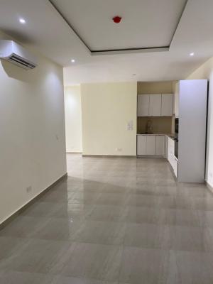 Spacious Massive Luxury 2 Bedrooms Flat / Apartment, Lekki Phase 1, Lekki, Lagos, Flat / Apartment for Rent