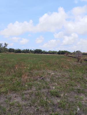 Land, Eleko, Ibeju Lekki, Lagos, Residential Land for Sale