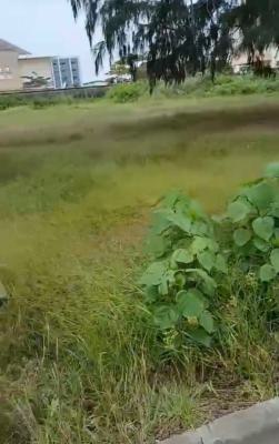a Standard, Executive Land, Lawanson, Surulere, Lagos, Mixed-use Land for Sale