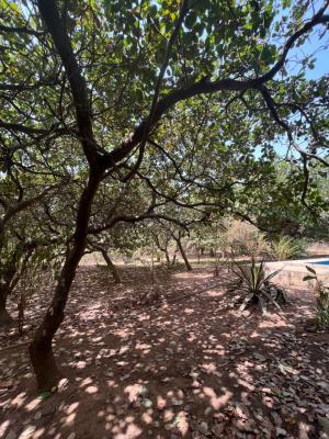 134.66 Ha at Wasa - Mass Housing (plot 4), Wasa, Apo, Abuja, Land for Sale