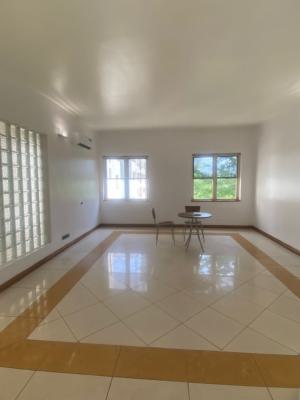 Tastefully Built, Newly Renovated Serviced Three (3) Bedroom Apartment, Old Ikoyi Lagos, Old Ikoyi, Ikoyi, Lagos, House for Rent