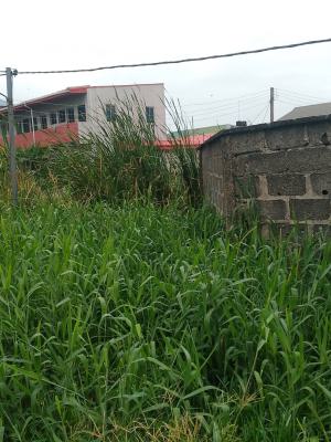 Full Plot in Developed Area, Phrase 2, Oribanwa, Ibeju Lekki, Lagos, Land for Sale