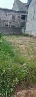 600sqmt Land for Four Bedroom Penthouse Duplex with 1 Bedroom Bq, Light House Estate, Von Road, Off Airport Road, Lugbe District, Abuja, Residential Land for Sale