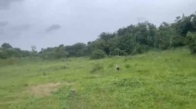 Eminent City Estate Moniya Ibadan, Moniya, Ibadan, Oyo State., Ibadan, Oyo, Land for Sale