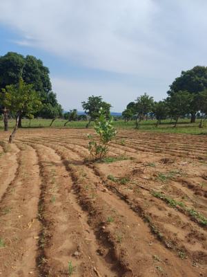 Addis City Estate, Kabusa By Sunnyvale Express Road, Kabusa, Abuja, Residential Land for Sale