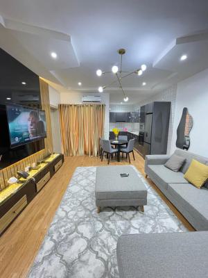 Luxury Furniture 1 Bedroom Flat, Adebisi Oguniyi Crescent, Lekki, Lagos, Mini Flat (room and Parlour) Short Let