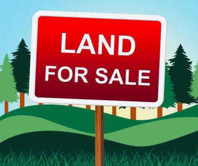 Land Measuring 2000sqm By Gracefield Island, Chevron Drive, Lekki, Lagos, Residential Land for Sale