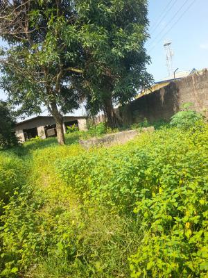 1 Acre of Land (6 Plots) for All Kind of Purposes, Off Iyana Iyesi Rd, Sango Otta (for All Purposes), Sango Ota, Ogun, Mixed-use Land for Sale