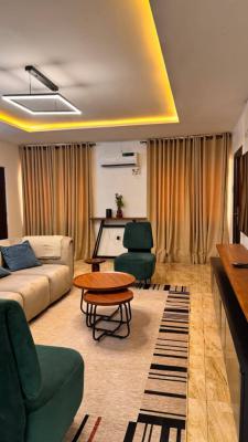 3 Bedroom Fully Furnished Apartment, Wuye, Abuja, Flat / Apartment for Rent