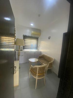 Nearly Furnished Mini Flat, Gerald Road, Ikoyi, Lagos, Mini Flat (room and Parlour) for Rent