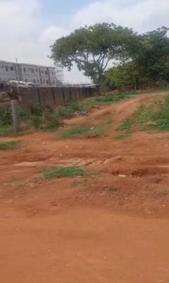 1,250sqm, Residential, Certificate of Occupancy, Jahi, Abuja, Residential Land for Sale