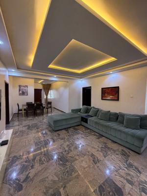 Tastefully Built and Furnished 3 Bedroom Apartment, Ibb Way, Maitama District, Abuja, Flat / Apartment for Rent