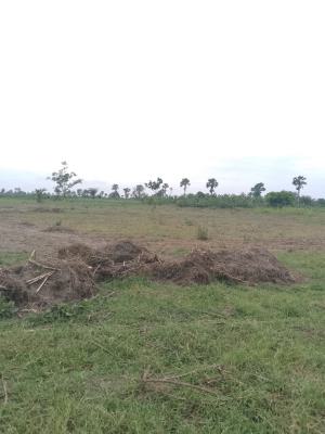 Best Acre Deal Property, Ilado Community, Epe, Lagos, Residential Land for Sale