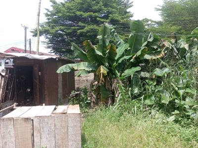 Land Available for Buyer Near Greenlight Hotel, Mcc Rd Abayi, Aba, Abia, Mixed-use Land for Sale